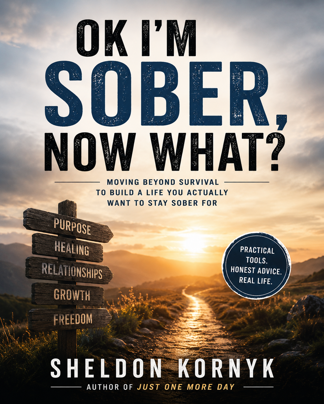 OK I'm Sober, Now What? by Sheldon Kornyk book cover